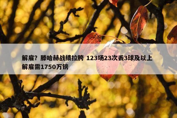 解雇？滕哈赫战绩拉胯 123场23次丢3球及以上 解雇需1750万镑