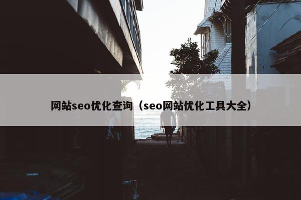 网站seo优化查询（seo网站优化工具大全）