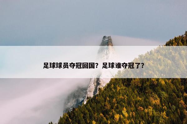 足球球员夺冠回国？足球谁夺冠了？