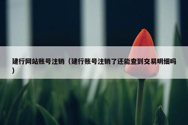 建行网站账号注销（建行账号注销了还能查到交易明细吗）