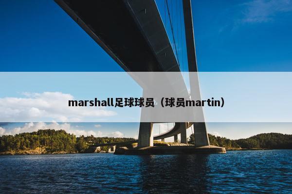 marshall足球球员（球员martin）