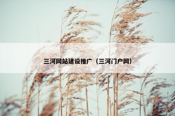 三河网站建设推广（三河门户网）