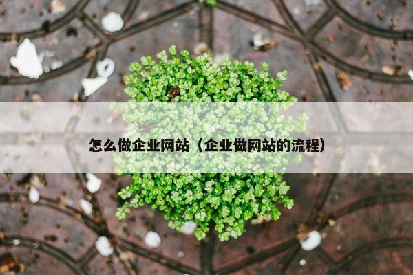 怎么做企业网站（企业做网站的流程）