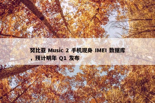 努比亚 Music 2 手机现身 IMEI 数据库，预计明年 Q1 发布