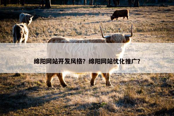 绵阳网站开发风格？绵阳网站优化推广？