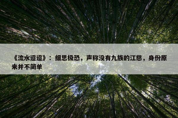 《流水迢迢》：细思极恐，声称没有九族的江慈，身份原来并不简单