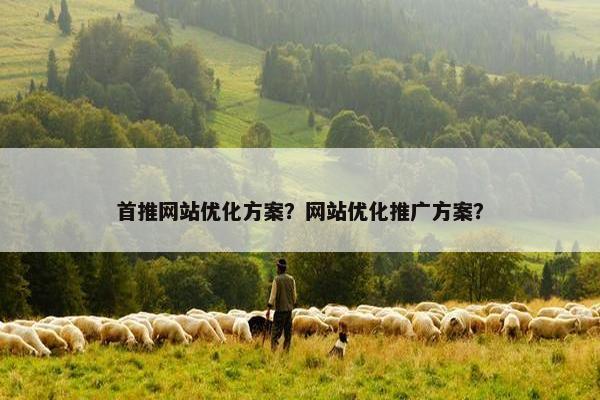 首推网站优化方案？网站优化推广方案？