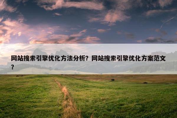 网站搜索引擎优化方法分析？网站搜索引擎优化方案范文？