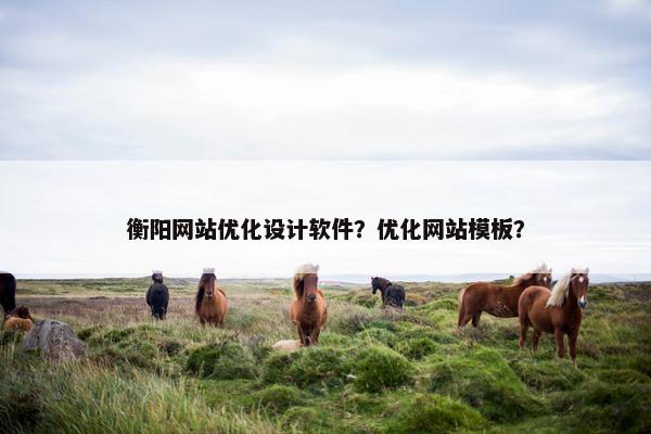 衡阳网站优化设计软件？优化网站模板？