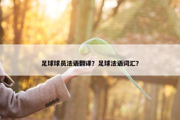 足球球员法语翻译？足球法语词汇？