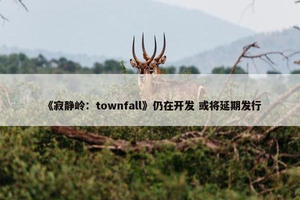 《寂静岭：townfall》仍在开发 或将延期发行