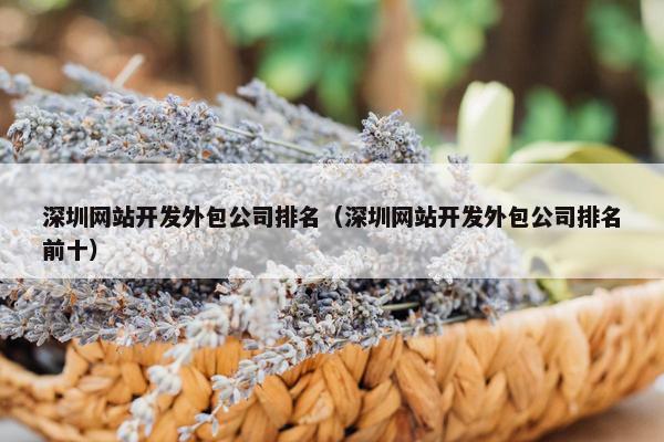 深圳网站开发外包公司排名（深圳网站开发外包公司排名前十）