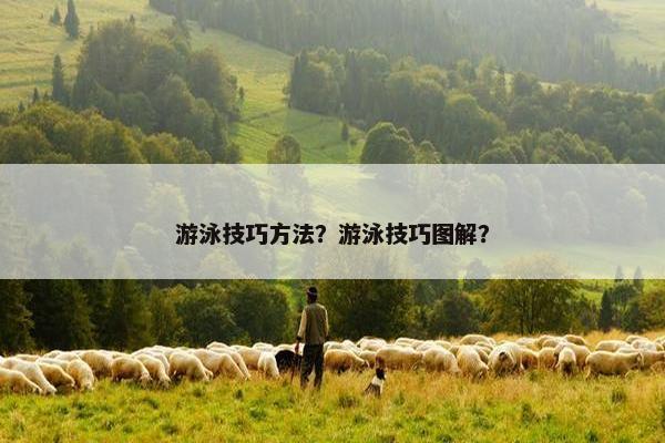 游泳技巧方法？游泳技巧图解？