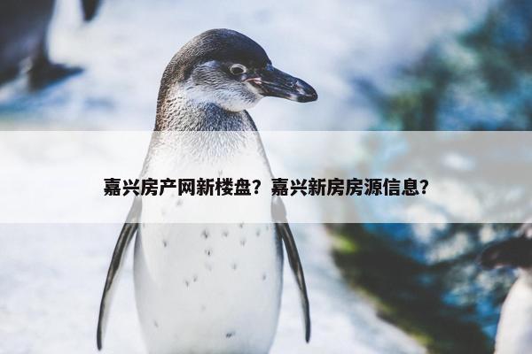 嘉兴房产网新楼盘？嘉兴新房房源信息？