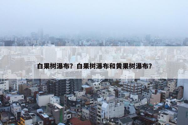 白果树瀑布？白果树瀑布和黄果树瀑布？