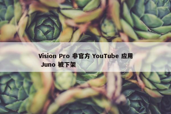 Vision Pro 非官方 YouTube 应用 Juno 被下架