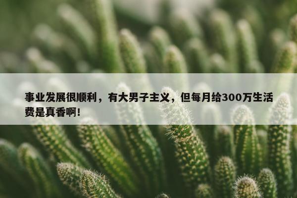 事业发展很顺利，有大男子主义，但每月给300万生活费是真香啊！