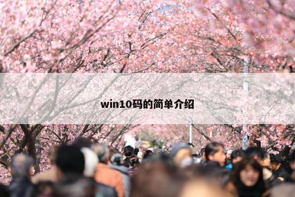 win10码的简单介绍