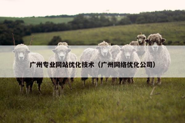 广州专业网站优化技术（广州网络优化公司）