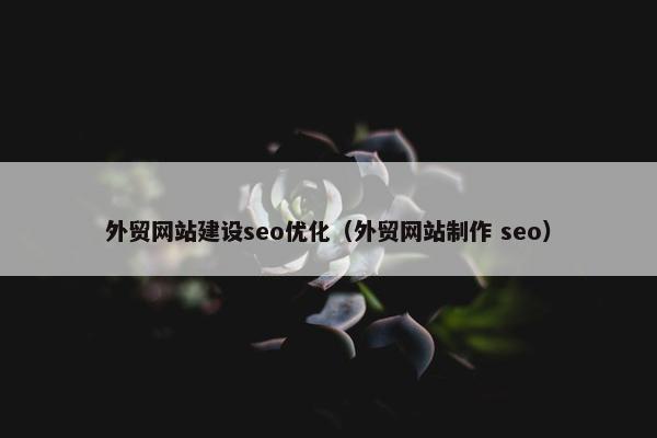 外贸网站建设seo优化（外贸网站制作 seo）