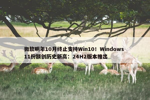 微软明年10月终止支持Win10！Windows 11份额创历史新高：24H2版本推出