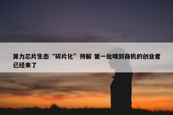 算力芯片生态“碎片化”待解 第一批嗅到商机的创业者已经来了