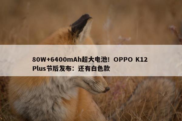 80W+6400mAh超大电池！OPPO K12 Plus节后发布：还有白色款