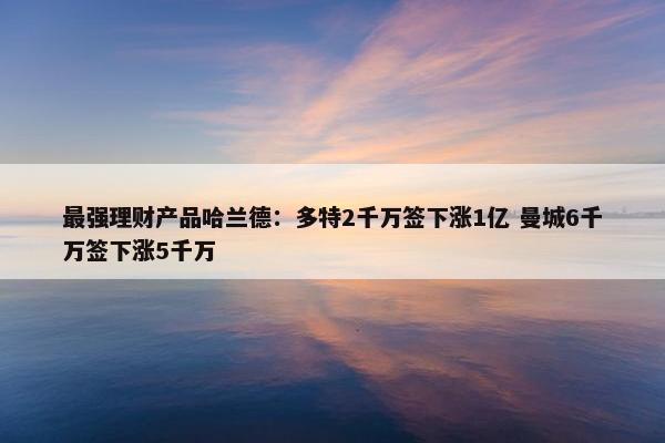 最强理财产品哈兰德：多特2千万签下涨1亿 曼城6千万签下涨5千万