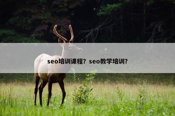 seo培训课程？seo教学培训？