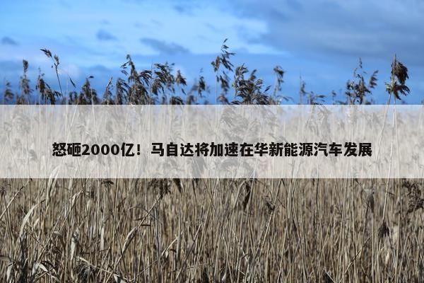 怒砸2000亿！马自达将加速在华新能源汽车发展