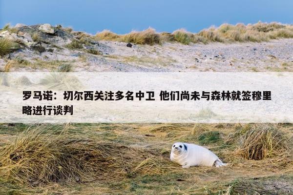 罗马诺：切尔西关注多名中卫 他们尚未与森林就签穆里略进行谈判