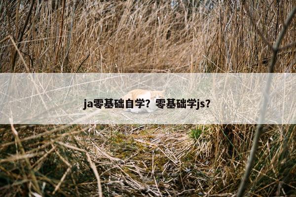 ja零基础自学？零基础学js？