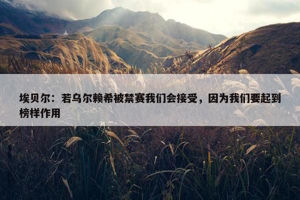 埃贝尔：若乌尔赖希被禁赛我们会接受，因为我们要起到榜样作用