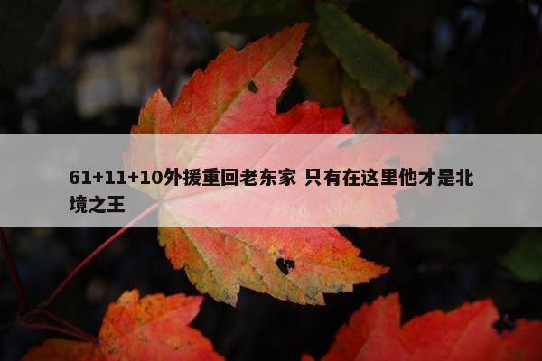 61+11+10外援重回老东家 只有在这里他才是北境之王