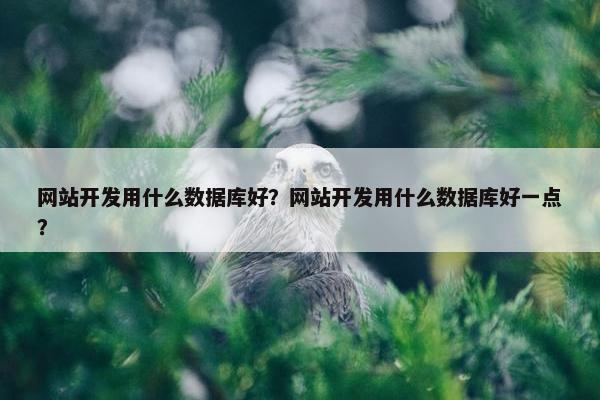 网站开发用什么数据库好？网站开发用什么数据库好一点？