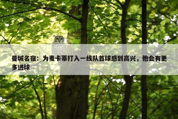 曼城名宿：为麦卡蒂打入一线队首球感到高兴，他会有更多进球