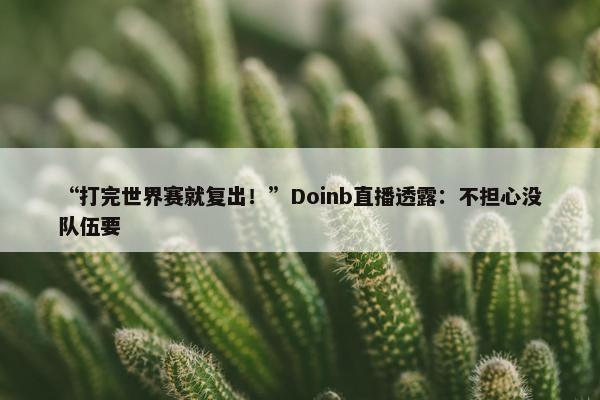 “打完世界赛就复出！”Doinb直播透露：不担心没队伍要