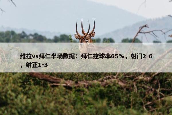 维拉vs拜仁半场数据：拜仁控球率65%，射门2-6，射正1-3