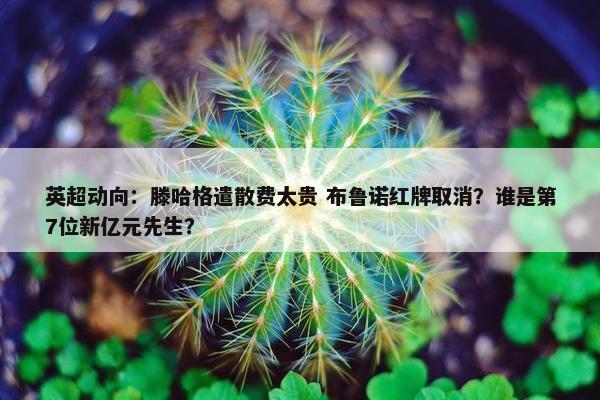 英超动向：滕哈格遣散费太贵 布鲁诺红牌取消？谁是第7位新亿元先生？