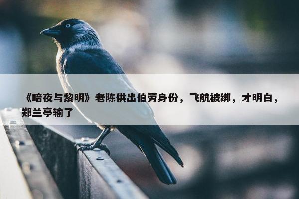 《暗夜与黎明》老陈供出伯劳身份，飞航被绑，才明白，郑兰亭输了