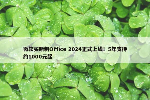 微软买断制Office 2024正式上线！5年支持约1000元起