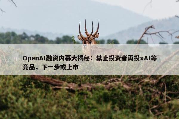 OpenAI融资内幕大揭秘：禁止投资者再投xAI等竞品，下一步或上市