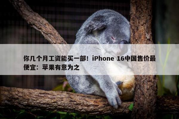 你几个月工资能买一部！iPhone 16中国售价最便宜：苹果有意为之