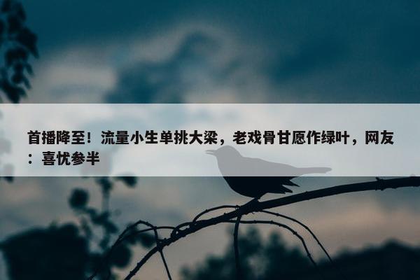 首播降至！流量小生单挑大梁，老戏骨甘愿作绿叶，网友：喜忧参半