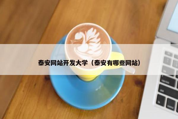 泰安网站开发大学（泰安有哪些网站）