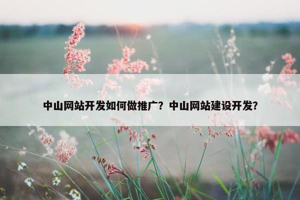 中山网站开发如何做推广？中山网站建设开发？