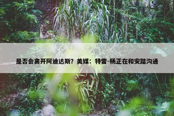 是否会离开阿迪达斯？美媒：特雷-杨正在和安踏沟通