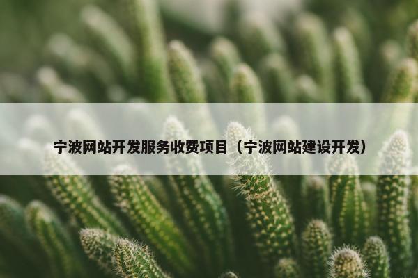 宁波网站开发服务收费项目（宁波网站建设开发）