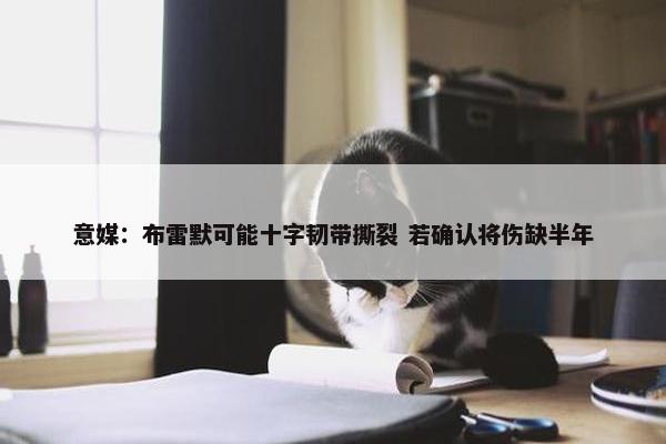 意媒：布雷默可能十字韧带撕裂 若确认将伤缺半年