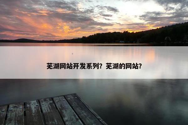 芜湖网站开发系列？芜湖的网站？